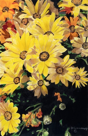 "African Daisies"